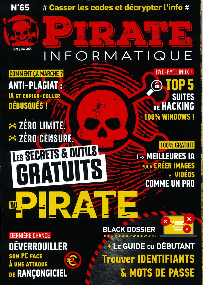 Pirate Informatique